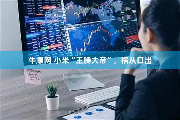 牛顺网 小米“王腾大帝”，祸从口出