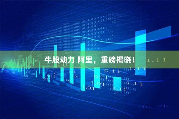 牛股动力 阿里，重磅揭晓！