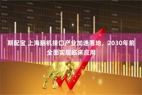 期配宝 上海脑机接口产业加速落地，2030年前全面实现临床应用