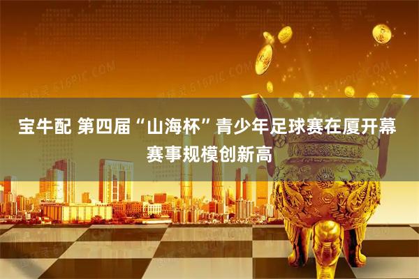 宝牛配 第四届“山海杯”青少年足球赛在厦开幕 赛事规模创新高